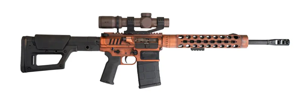 Vortex Razor HD Gen III 1-10x24 FFP Riflescope Review - Action Gunner